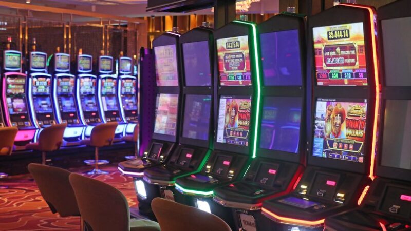 casino wildz no deposit bonus