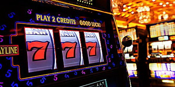 casino cobra casino