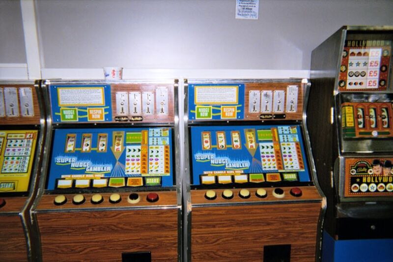 herunterladen Wild Dice-App
