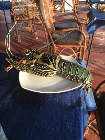 Fishin Frenzy Einzahlung von 1 €